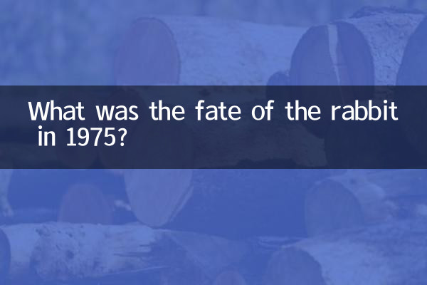 Quel fut le sort du lapin en 1975 ?