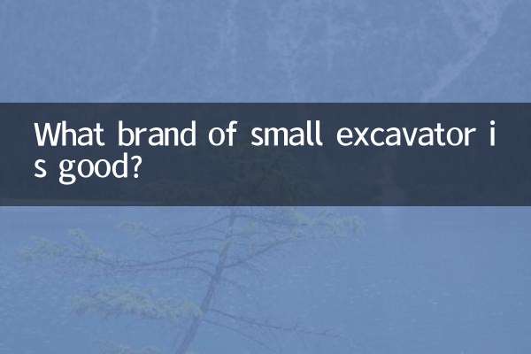 小型挖掘机什么牌子好