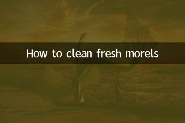 鲜羊肚菌怎么清洗