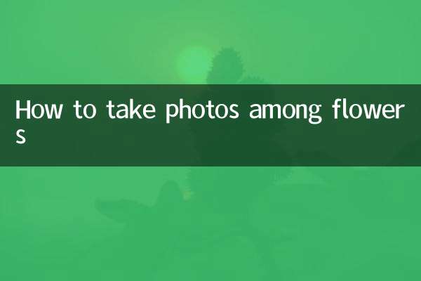 花中怎么拍照