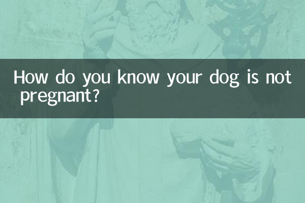 How do you know your dog is not pregnant?