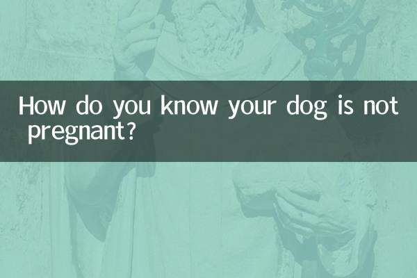 How do you know your dog is not pregnant?