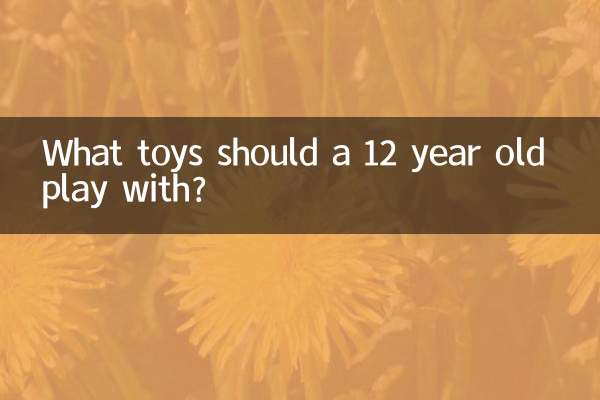 12歳の子供はどんなおもちゃで遊ぶべきですか?