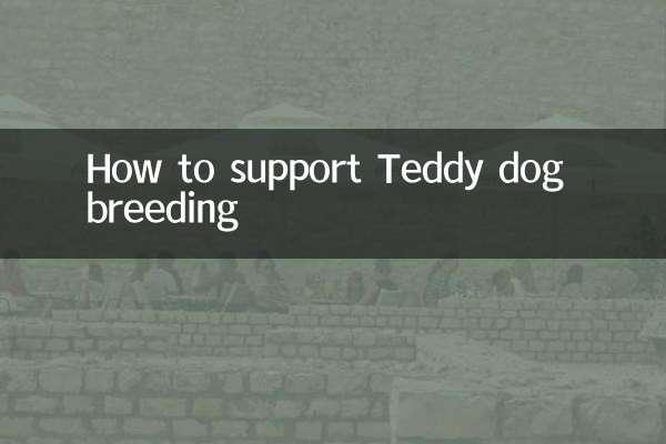 Cómo apoyar la cría de perros Teddy