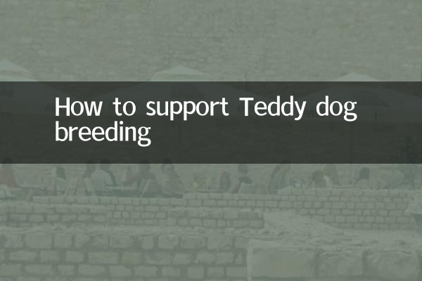 Cómo apoyar la cría de perros Teddy