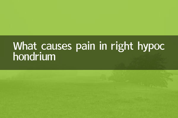 Was verursacht Schmerzen im rechten Hypochondrium?