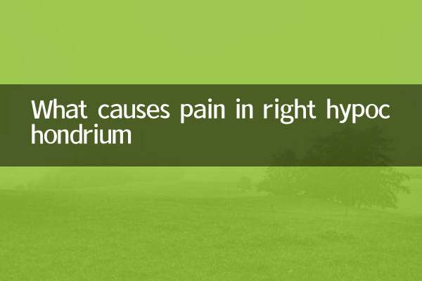 Was verursacht Schmerzen im rechten Hypochondrium?