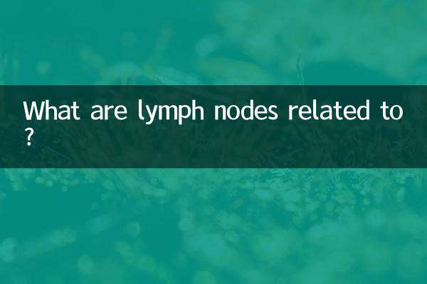 What are lymph nodes related to?