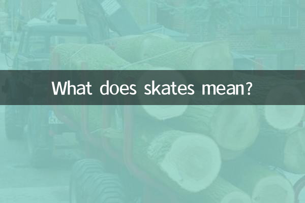 What does skates mean?