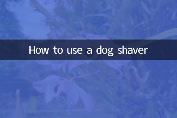 Come usare un rasoio per cani
