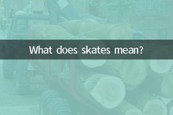 What does skates mean?