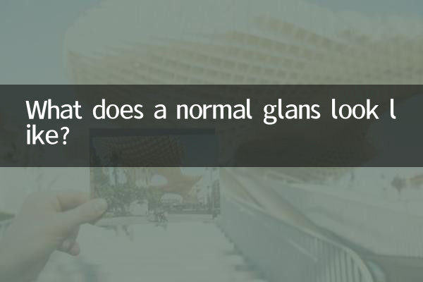 A quoi ressemble un gland normal ?