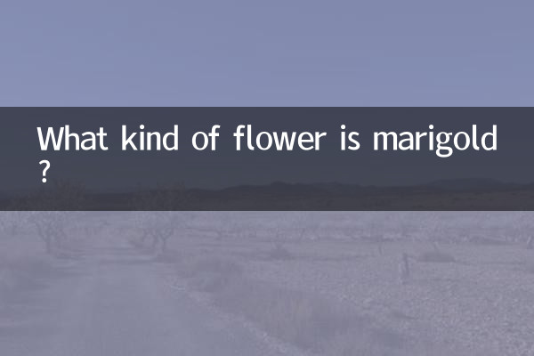 ¿Qué tipo de flor es la caléndula?