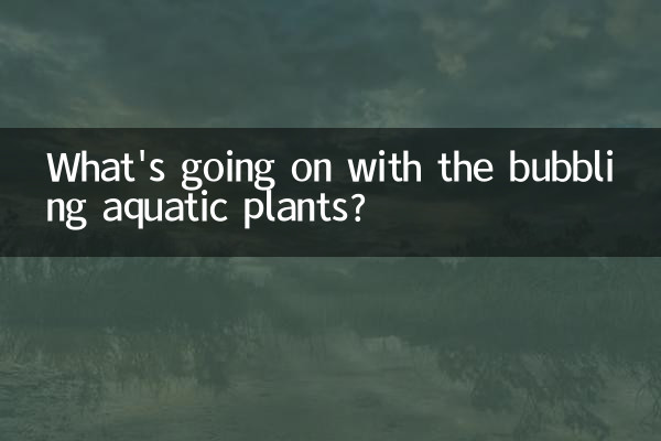 水草冒泡是怎么回事