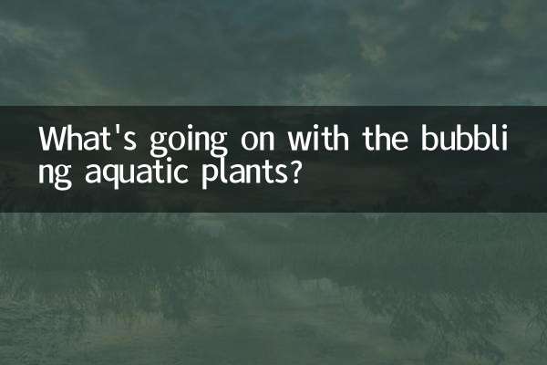 Cosa succede alle piante acquatiche gorgoglianti?