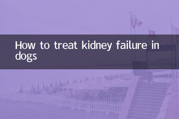 Come trattare l'insufficienza renale nei cani