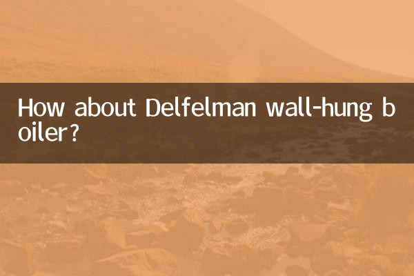 কেমন ডেলফেলম্যান ওয়াল-হ্যাং বয়লার?