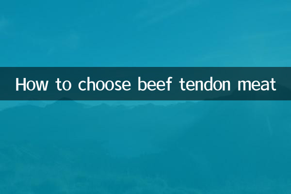 نحوه انتخاب گوشت تاندون گاو