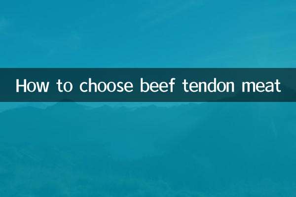 نحوه انتخاب گوشت تاندون گاو