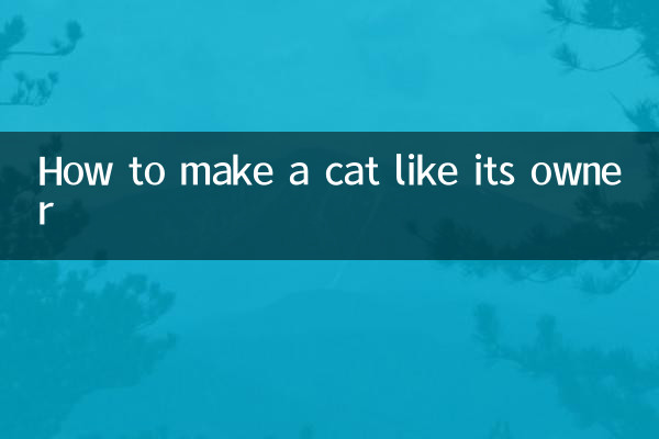 Como fazer um gato gostar de seu dono