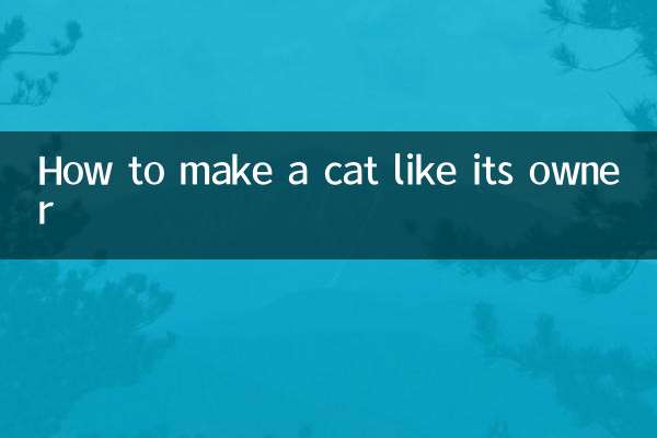 Como fazer um gato gostar de seu dono