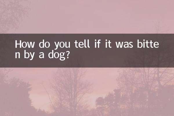 ¿Cómo se sabe si fue mordido por un perro?