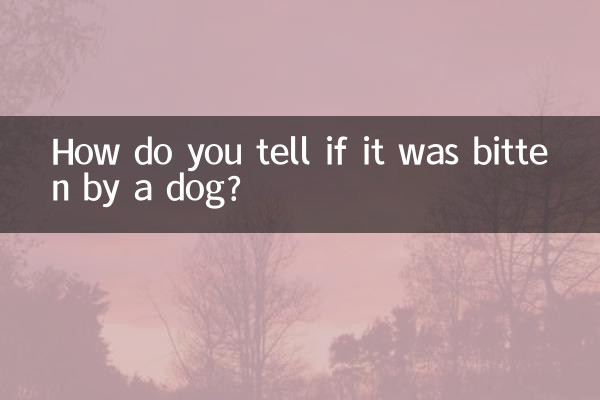 ¿Cómo se sabe si fue mordido por un perro?