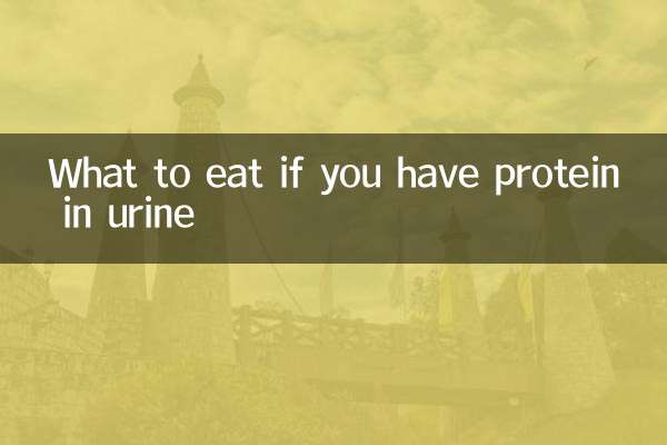 소변에 단백질이 있으면 무엇을 먹어야합니까?