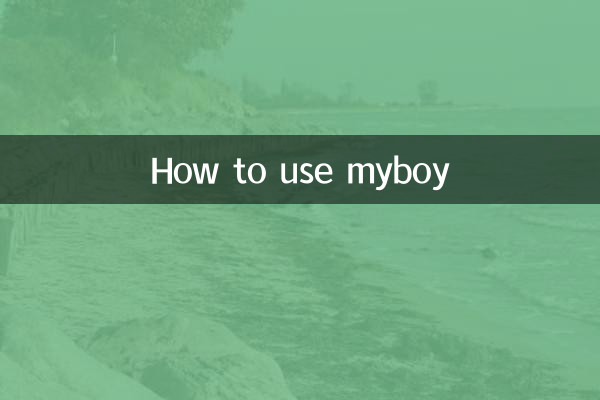 マイボーイの使い方