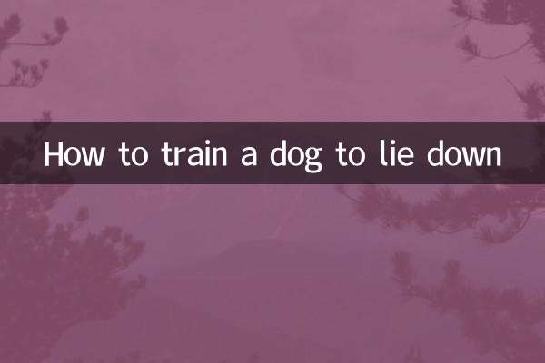 কিভাবে শুয়ে একটি কুকুর প্রশিক্ষণ