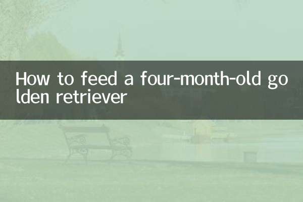 Comment nourrir un golden retriever de quatre mois