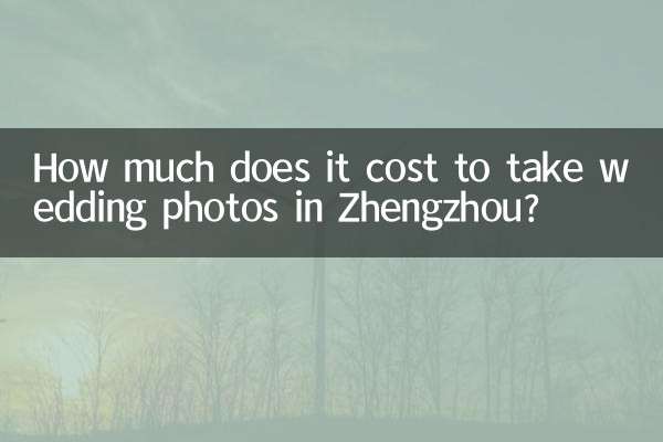 정저우에서 웨딩 사진을 찍는 데 드는 비용은 얼마입니까?