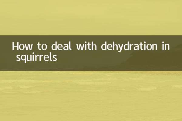 Comment gérer la déshydratation chez les écureuils