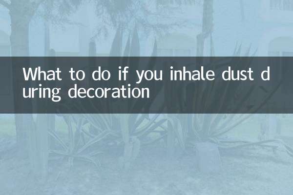 裝修吸入粉塵怎麼辦