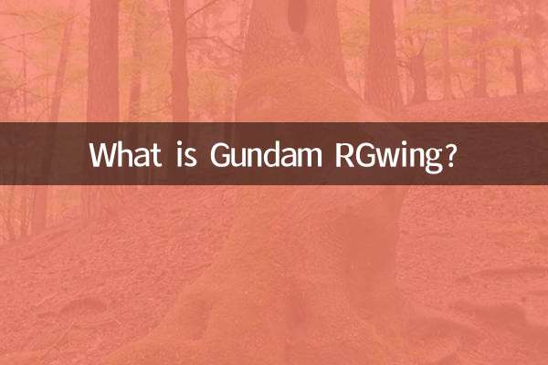 高达rgwing是什么