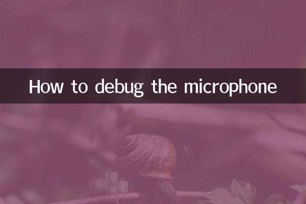 چگونه میکروفون را اشکال زدایی کنیم