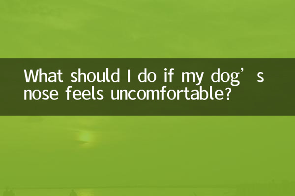 Cosa devo fare se il naso del mio cane si sente a disagio?