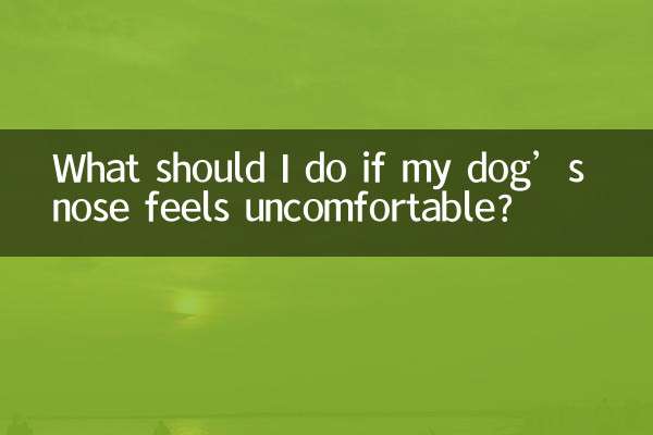 Cosa devo fare se il naso del mio cane si sente a disagio?