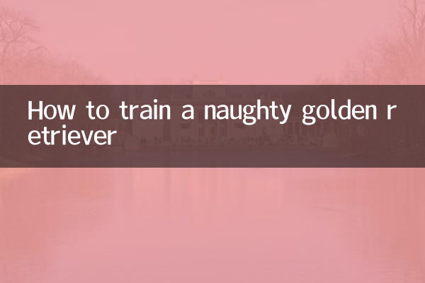 金毛调皮怎么训练