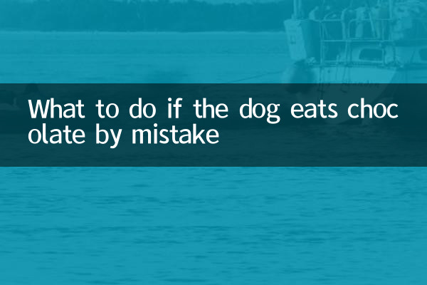 What to do if the dog eats chocolate by mistake