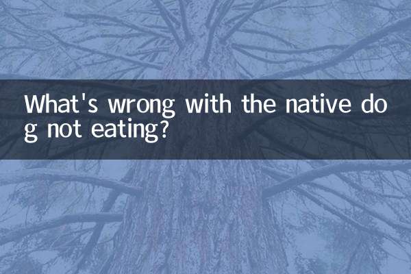 Cosa c'è di sbagliato nel fatto che il cane nativo non mangia?