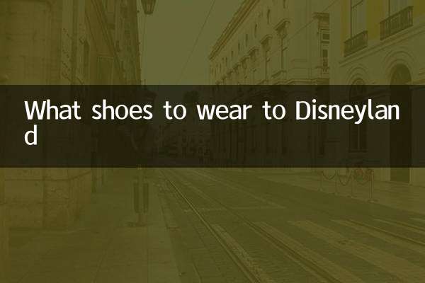 ディズニーランドに行く靴は何ですか