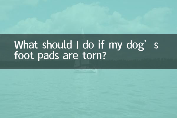 ¿Qué debo hacer si las almohadillas de las patas de mi perro se rompen?