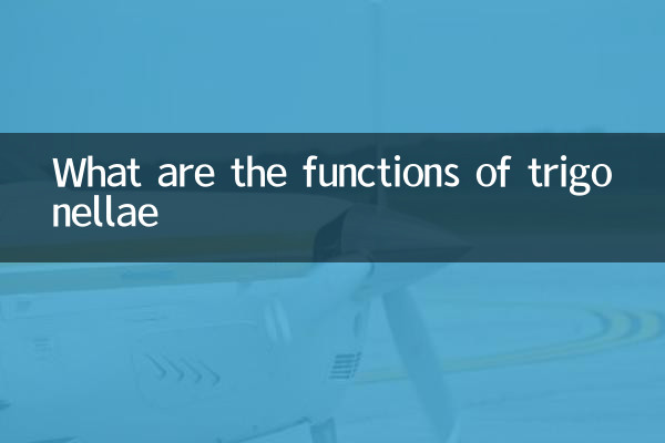 وظایف تریگونلا چیست؟