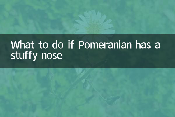 Cosa fare se il Pomerania ha il naso chiuso