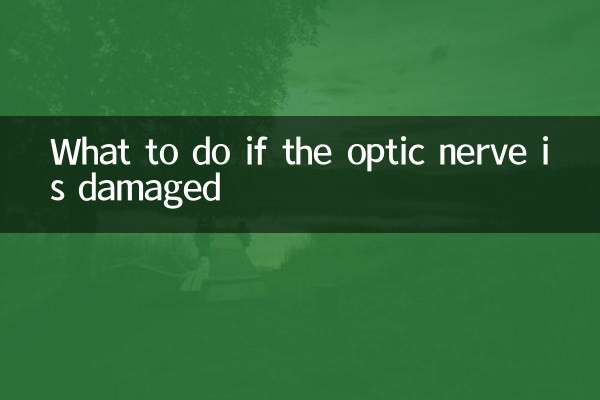 시신경이 손상된 경우 대처 방법