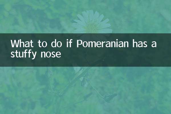 अगर पोमेरेनियन की नाक बंद हो तो क्या करें?