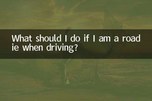 운전할 때 로디인 경우 어떻게 해야 합니까?