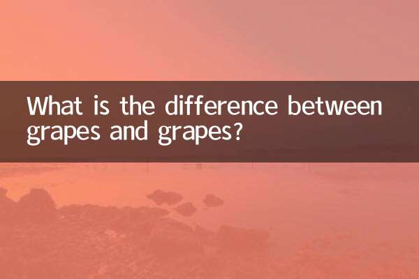 Qual è la differenza tra uva e uva?