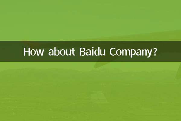 바이두 회사는 어떻습니까?